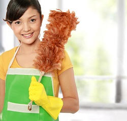 crystal palace domestic cleaning agency