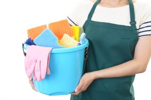 Professional pet stain and odour removal treatment in a Crystalpalace home
