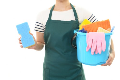 Deep cleaning service for homes in Crystal Palace