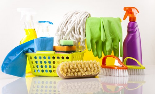 Professional steam carpet cleaning service in a Crystal Palace home