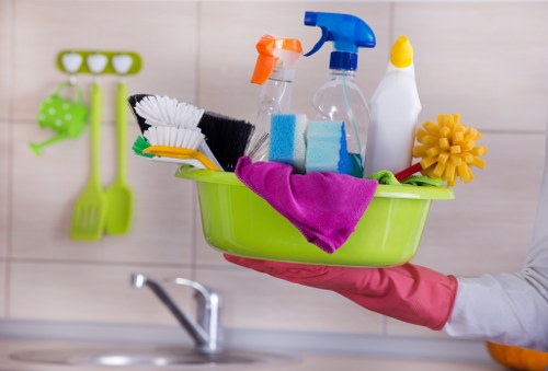 Domestic cleaning tasks for kitchens and living areas in Crystalpalace