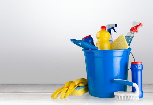 Professional hard floor cleaning in a Crystalpalace home hallway