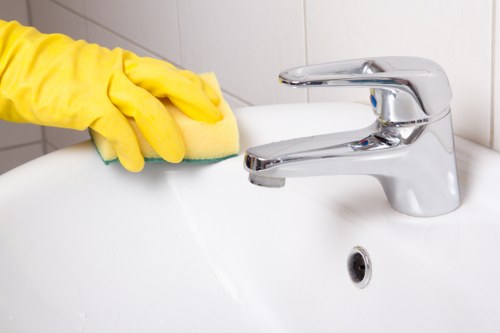 Local technician handling a stain in a Crystal Palace property