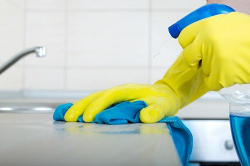 Local Crystalpalace pet stain removal for carpets and soft furnishings