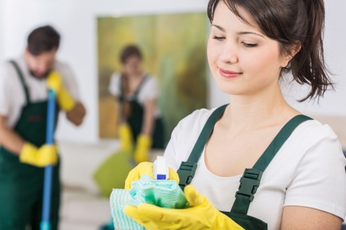 Hot water extraction carpet cleaning equipment used in Crystal Palace