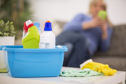 Professional upholstery cleaning for a sofa in Crystalpalace