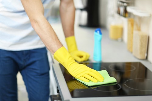 Move-related deep cleaning in Crystal Palace