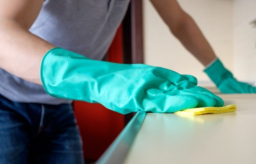 Safe and organised carpet cleaning process in Crystal Palace