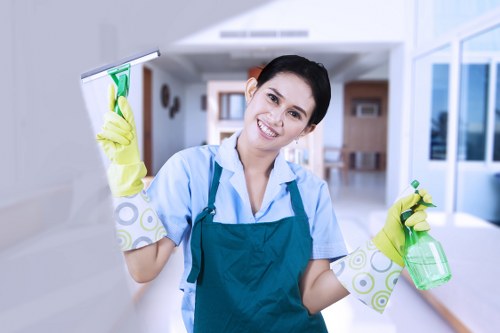 Professional cleaning of a building facade with safe access planning