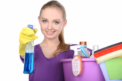 Bathroom cleaning prepared for new occupants in Crystalpalace