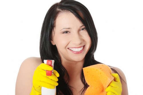 Local domestic cleaning support for homes around Crystal Palace