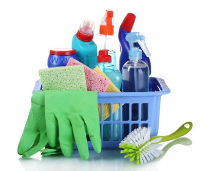 Insured carpet cleaning team working with professional care