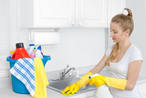 Cleaner working in a Crystal Palace flat near the Triangle