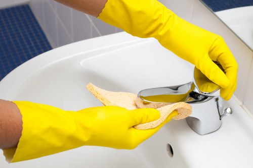 Steam carpet cleaning service for Crystal Palace homes and businesses